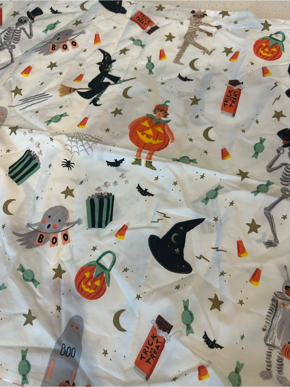 Pottery Barn Rifle Paper Co. Halloween Glow-in-the-Dark Pilowcase NWOT